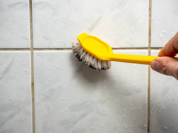 Best Mold Testing and Inspection Services in Chigan Center, MI