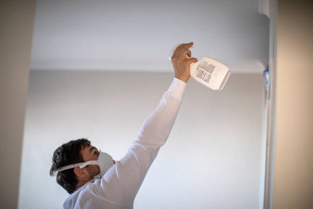 Best Attic Mold Remediation in Chigan Center, MI